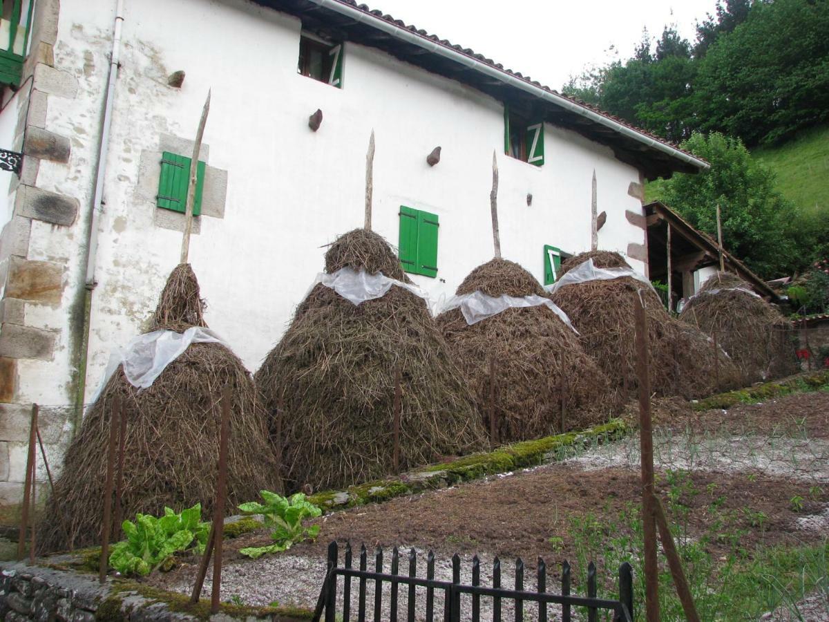 Albergue Olasenea Aterpea Zubieta 外观 照片