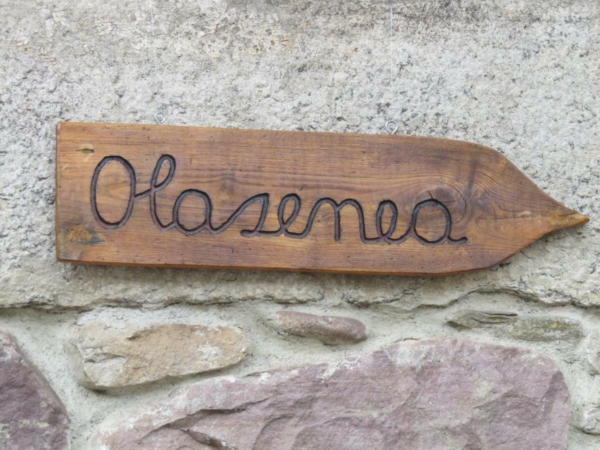 Albergue Olasenea Aterpea Zubieta 外观 照片